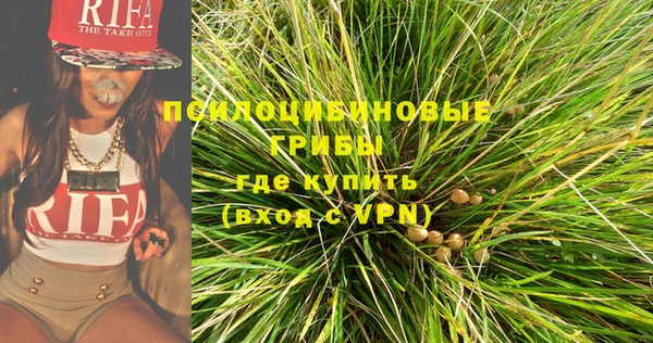 спайс Горняк