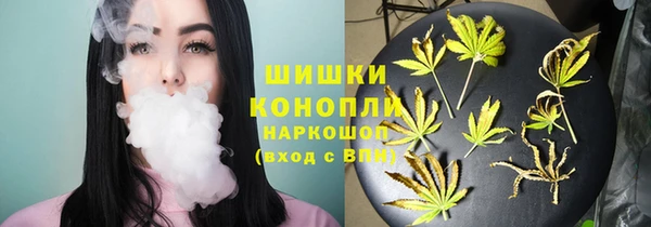 спайс Горняк
