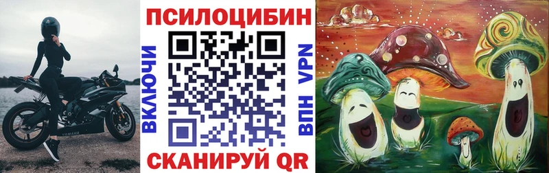 omg рабочий сайт  магазин продажи   Димитровград  Псилоцибиновые грибы Cubensis 