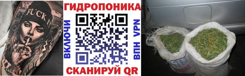 мориарти официальный сайт  Димитровград  Конопля Amnesia 